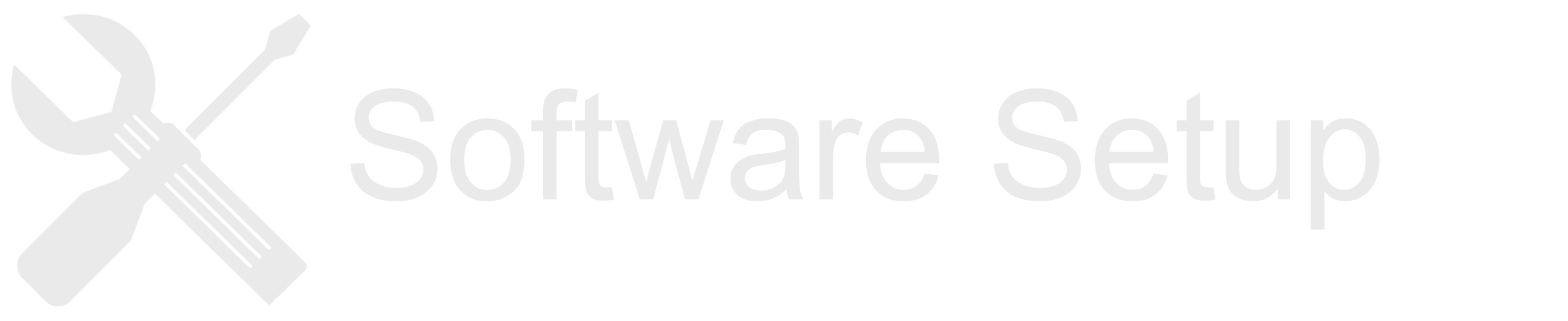 Website Logo